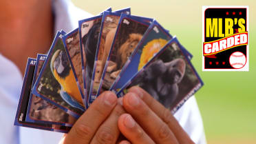 Braves partner with the Zoo for All-Star week cards