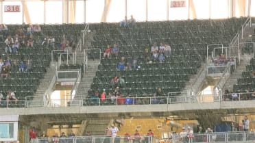 Cottonwood "snow" appears during Royals, Twins game