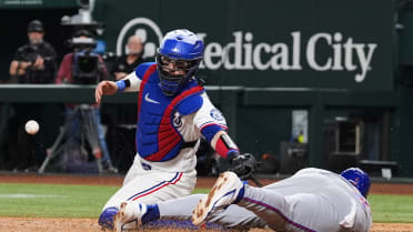 Luis Torrens' sac fly