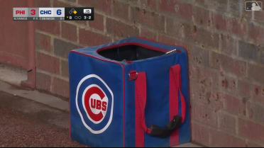 Rat at Wrigley Field!