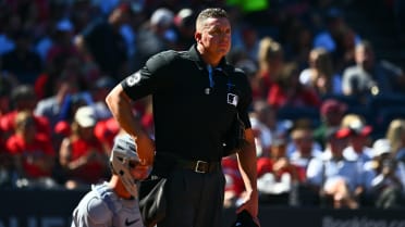 Umpire's broken mask causes minor delay