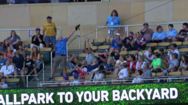 Fan makes immaculate leaping catch