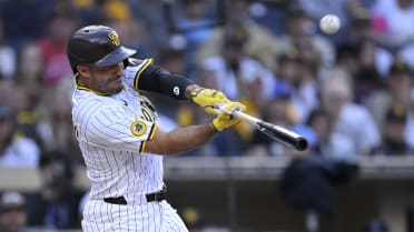 Ramón Laureano's sac fly