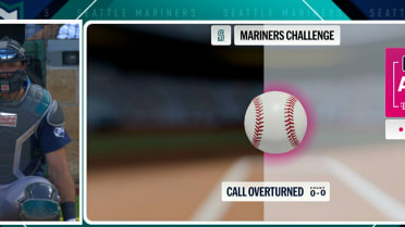 Ball 1 overturned after ABS challenge