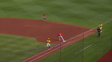動画を再生