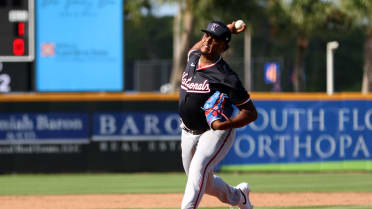 Top Prospects: Jarlin Susana, RHP, Nationals