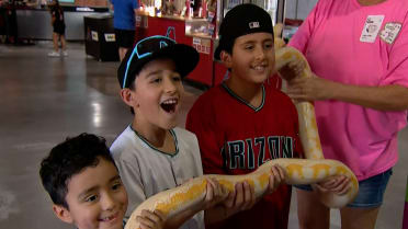 Snake visits kids at Chase Field