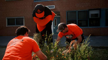 Orange & Black Gives Back hosts National Service Day