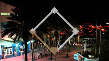 Baseball Zen: Tropicana Field