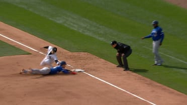 Nathan Lukes' sac fly