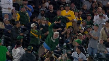 A's fan falls into the stands trying to get a ball