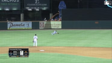 動画を再生