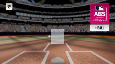 Ball is confirmed after ABS