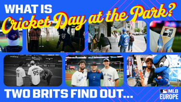 Cricket Day at the Park
