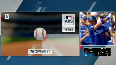 Ball 2 is confirmed after an ABS Challenge