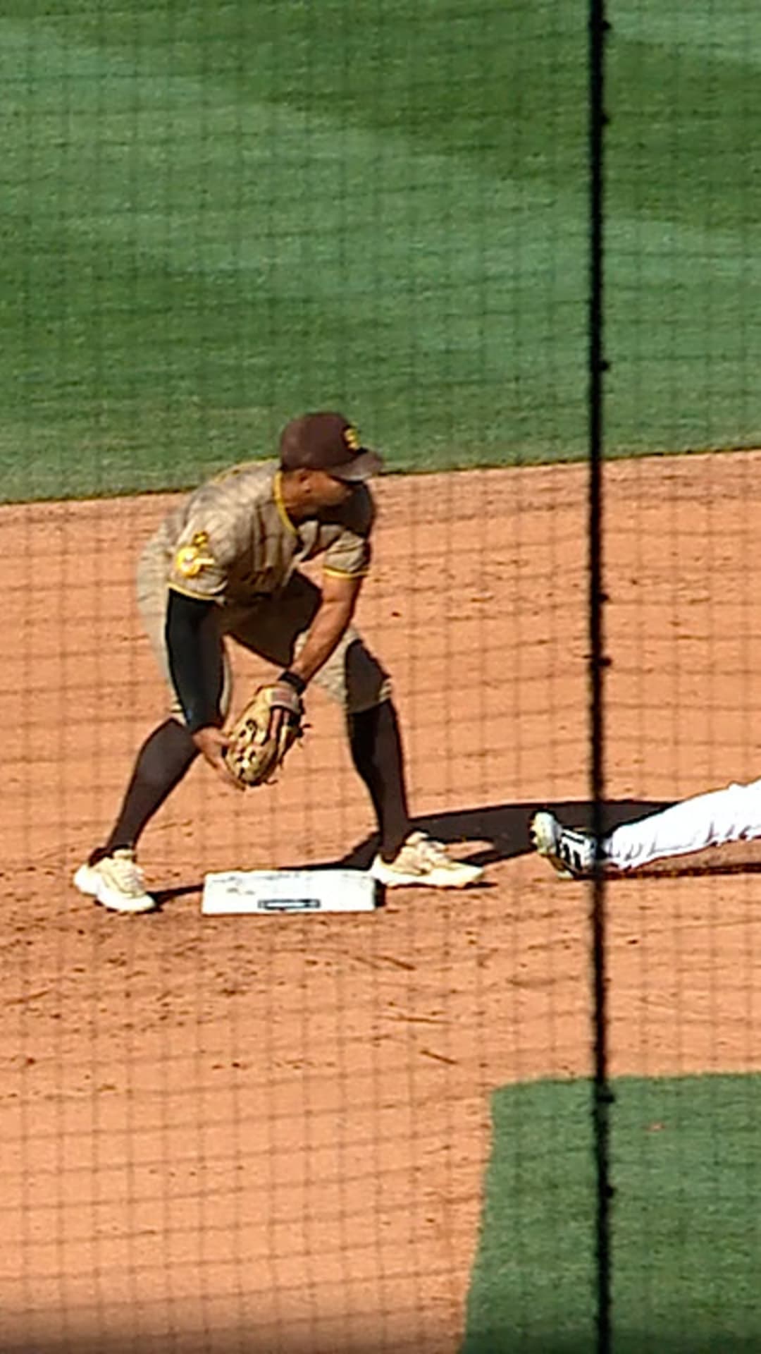 Dylan Crews highlights - MLB Stories