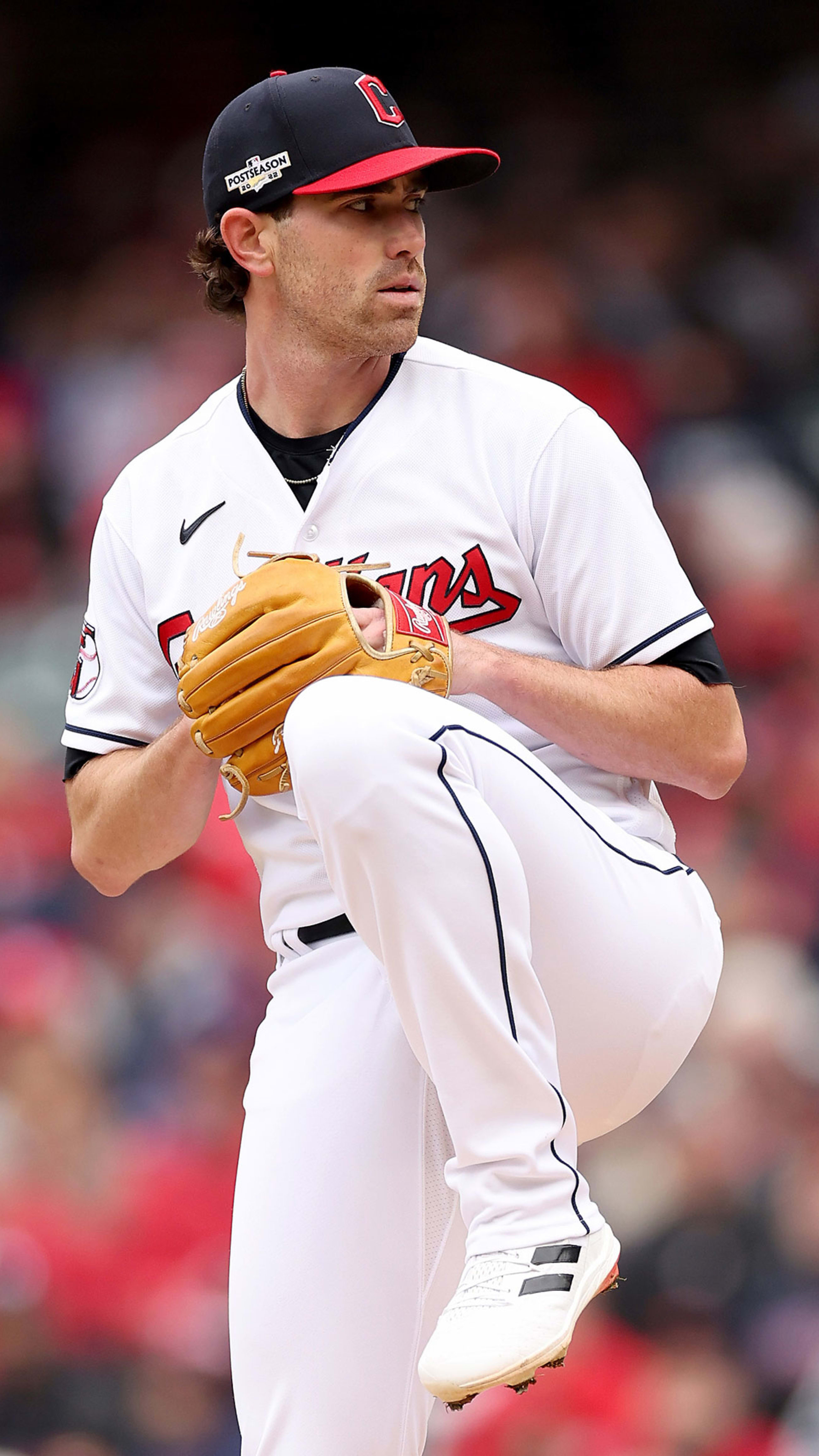 Pitcher bieber sales