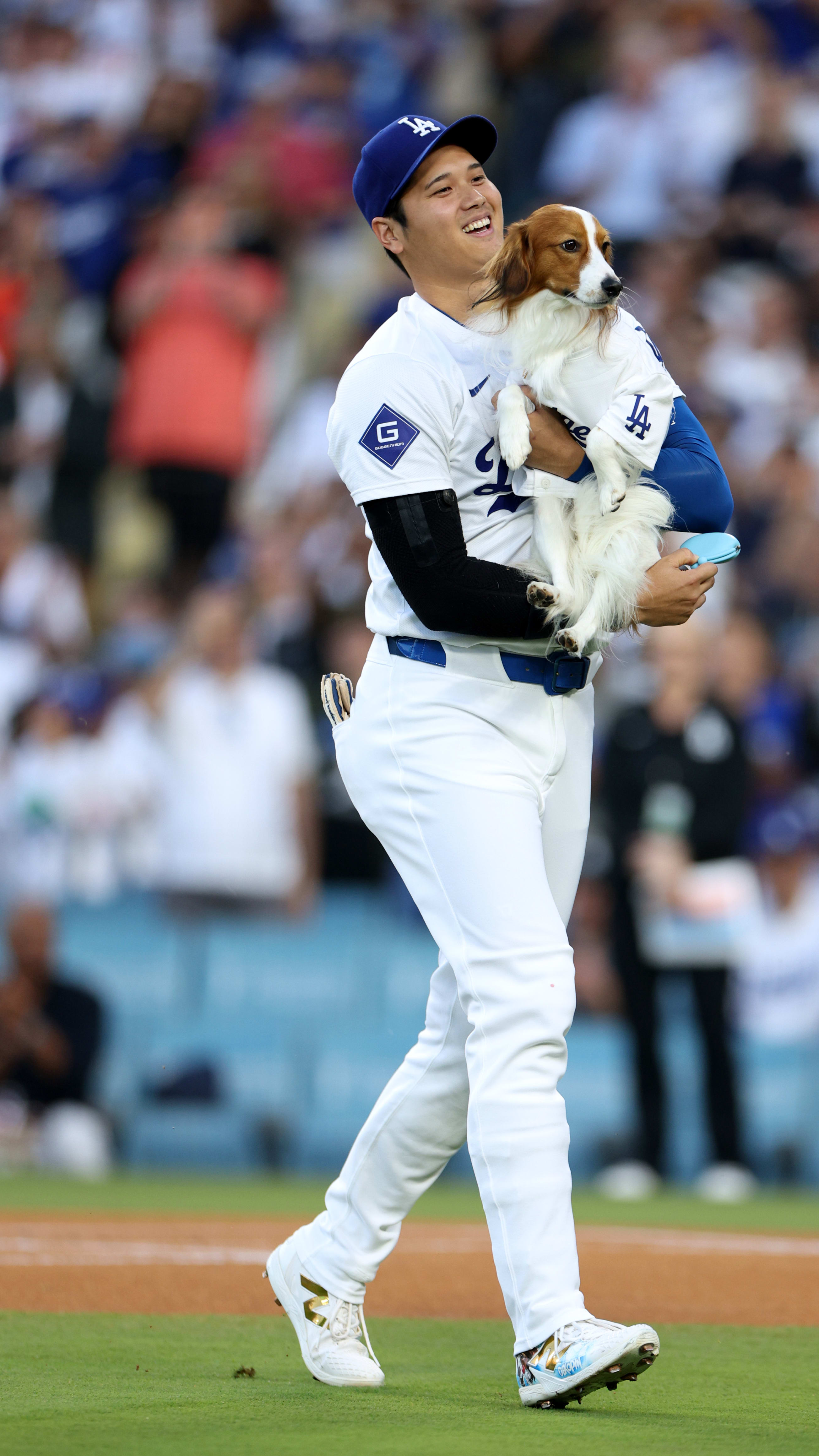 SHOHEI　De'Longhi MDH0P-PB Shohei and Decoy Ohtani best moments - MLB Stories