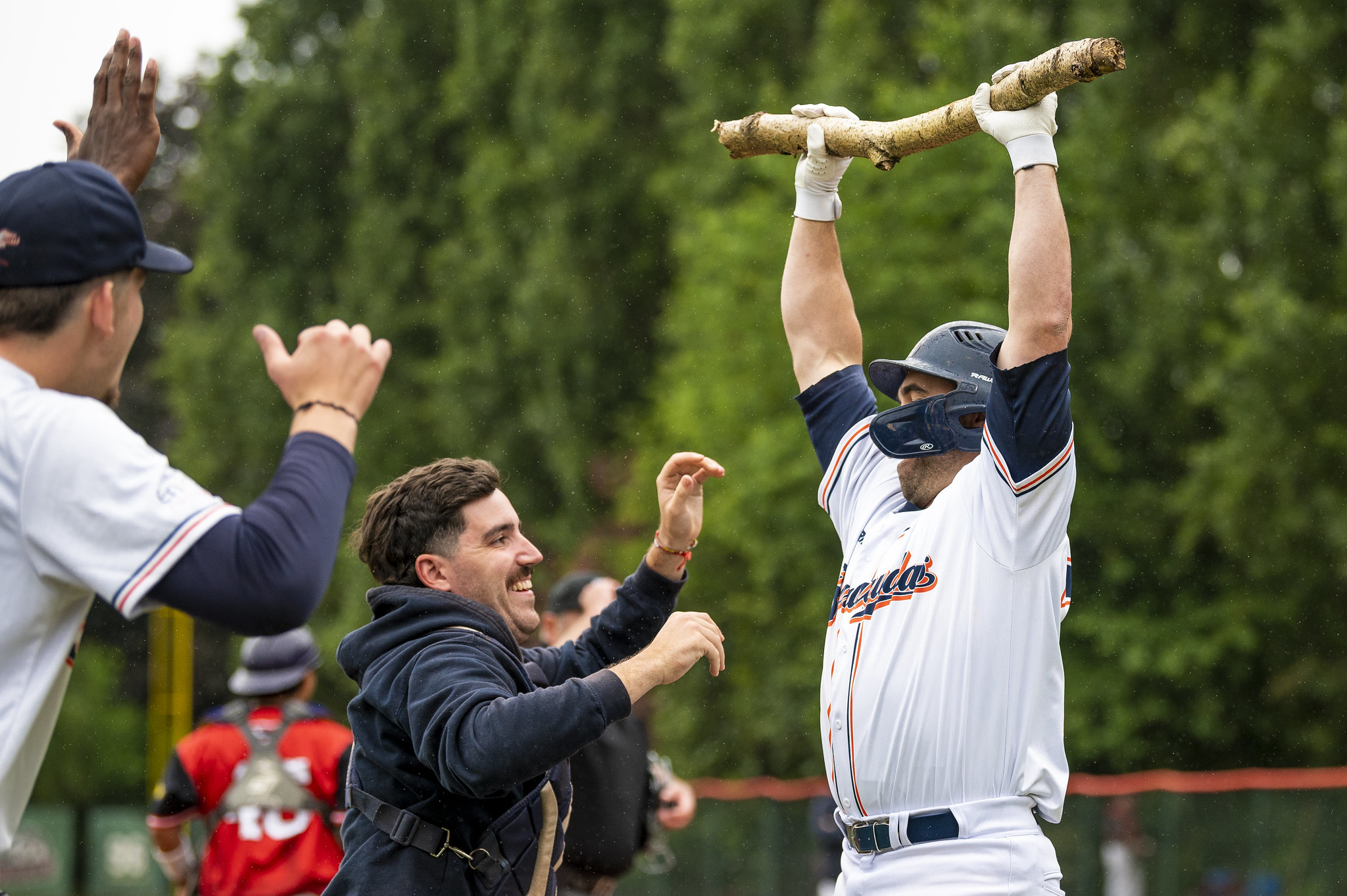 The Montpellier Barracudas unique home run celebration features a giant branch. Photo by Pablo Amiama / WBSC Europe