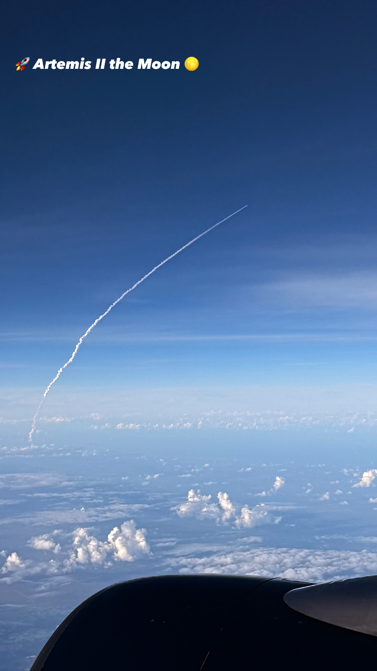 (Photo courtesy of Marlins team photographer Jasen Vinlove)