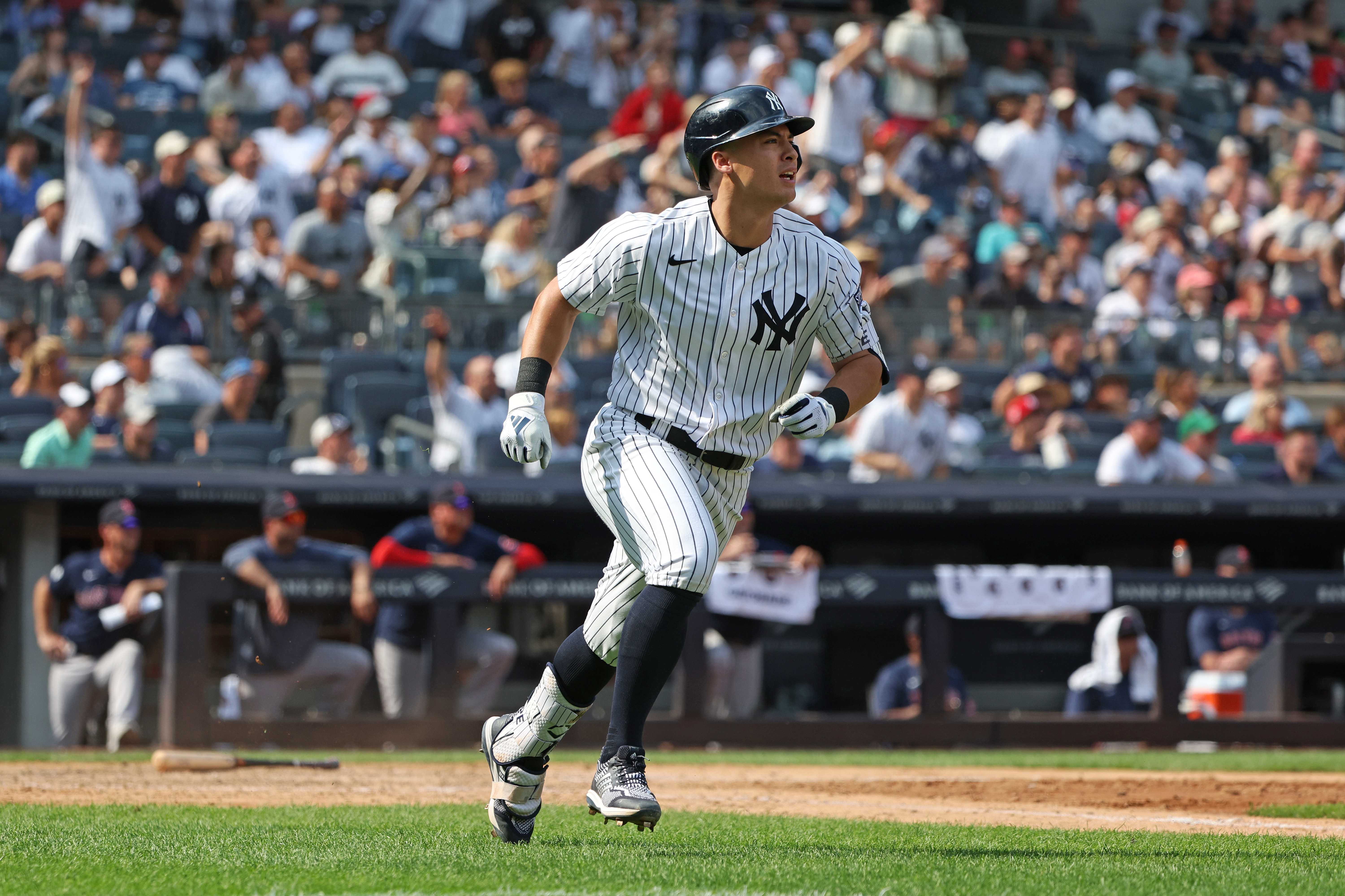 (Photo Credit: New York Yankees)