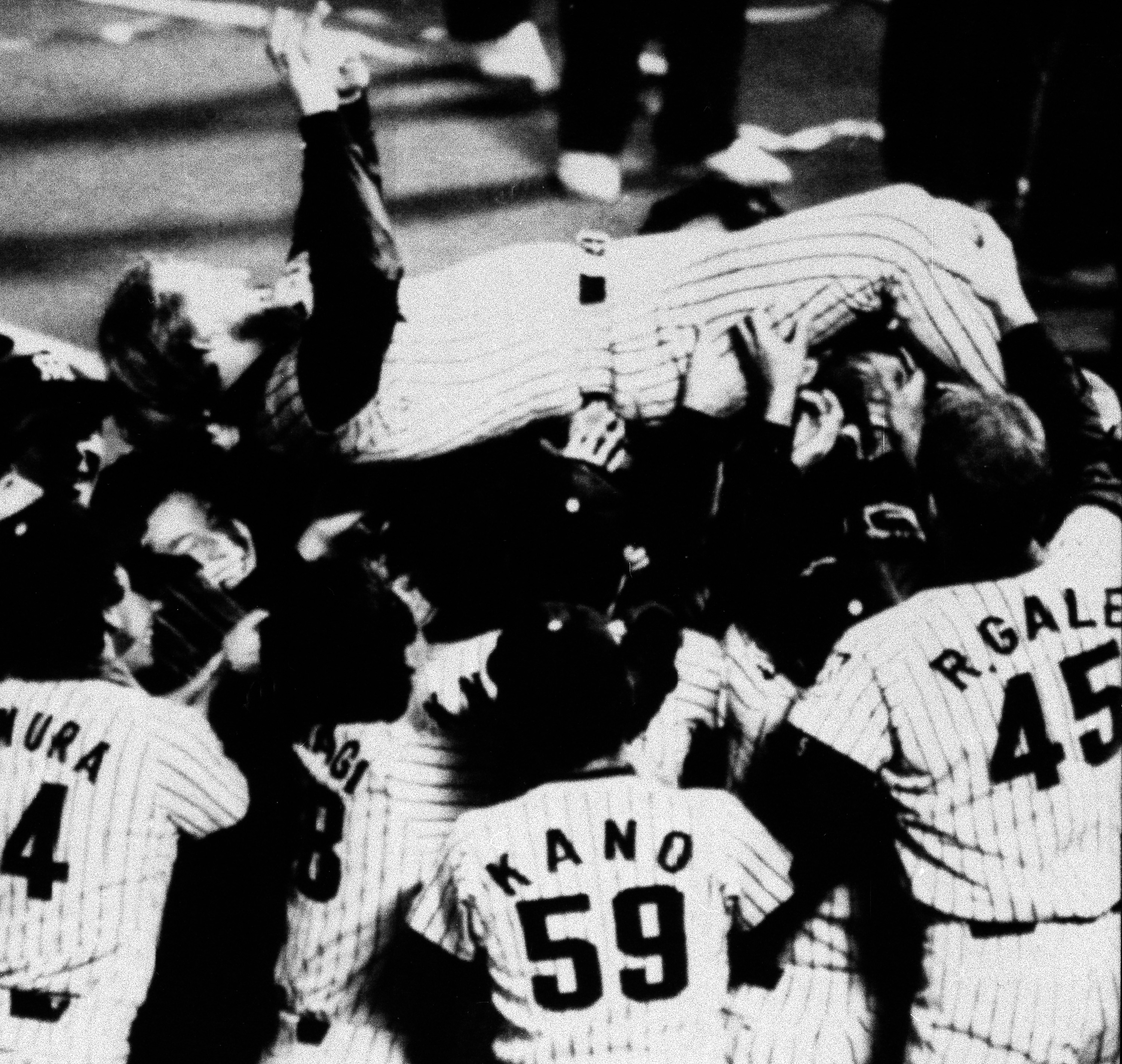 Randy Bass, first baseman for the Hanshin Tigers, is tossed in the air by teammates after winning their first Central League pennant in 21 years at Jingu Stadium in Tokyo, Oct. 17, 1985. (AP Photo/Kyodo)