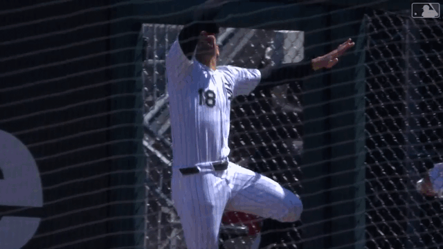 An animated gif of Mike Tauchman robbing a home run