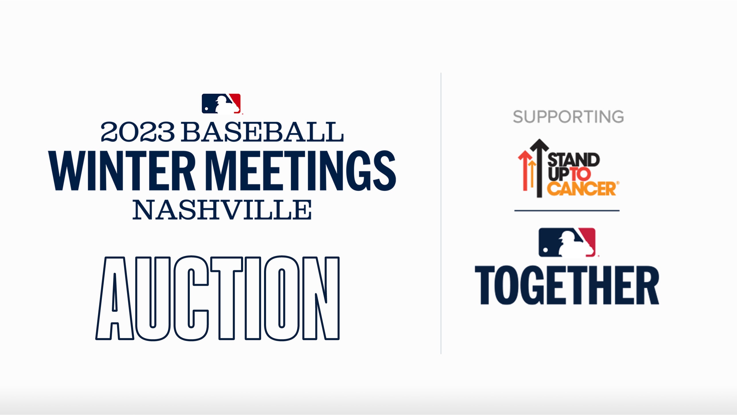 2023 Winter Meetings Charity Auction