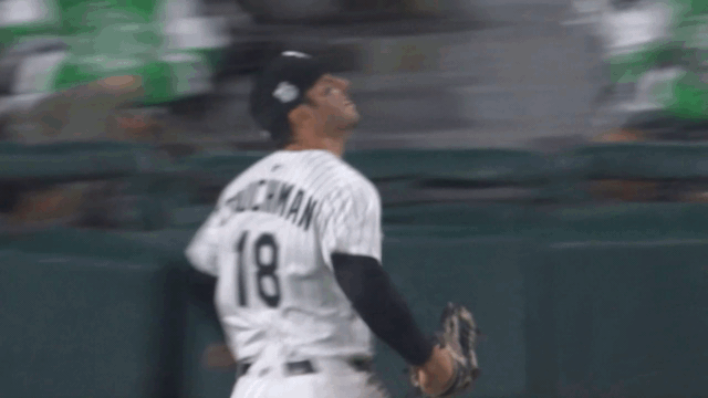 An animated gif of Mike Tauchman making a catch and flying into some netting