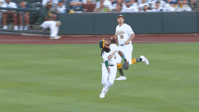 An animated gif of A's second baseman Joshua Kuroda-Grauer making a diving catch on a popup in short center field