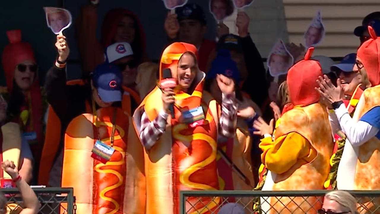 Fans and a reporter dressed as hot dogs at Wrigley Field