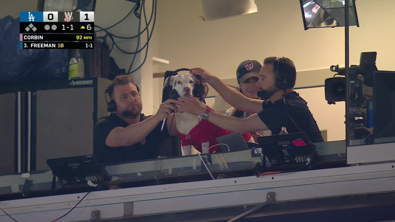 A dog gets a headset in the Nationals' TV booth