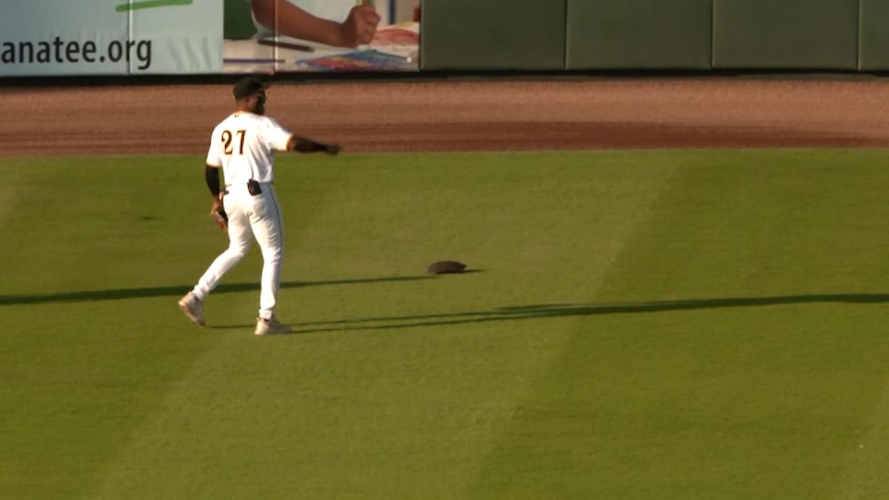 A Minor League outfielder points at a turtle