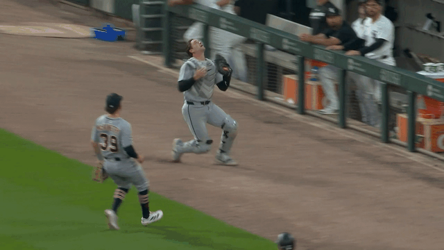 An animated gif of Tigers catcher Dillon Dingler sliding near a dugout and tipping the ball to third baseman Zach McKinstry, who makes the catch 
