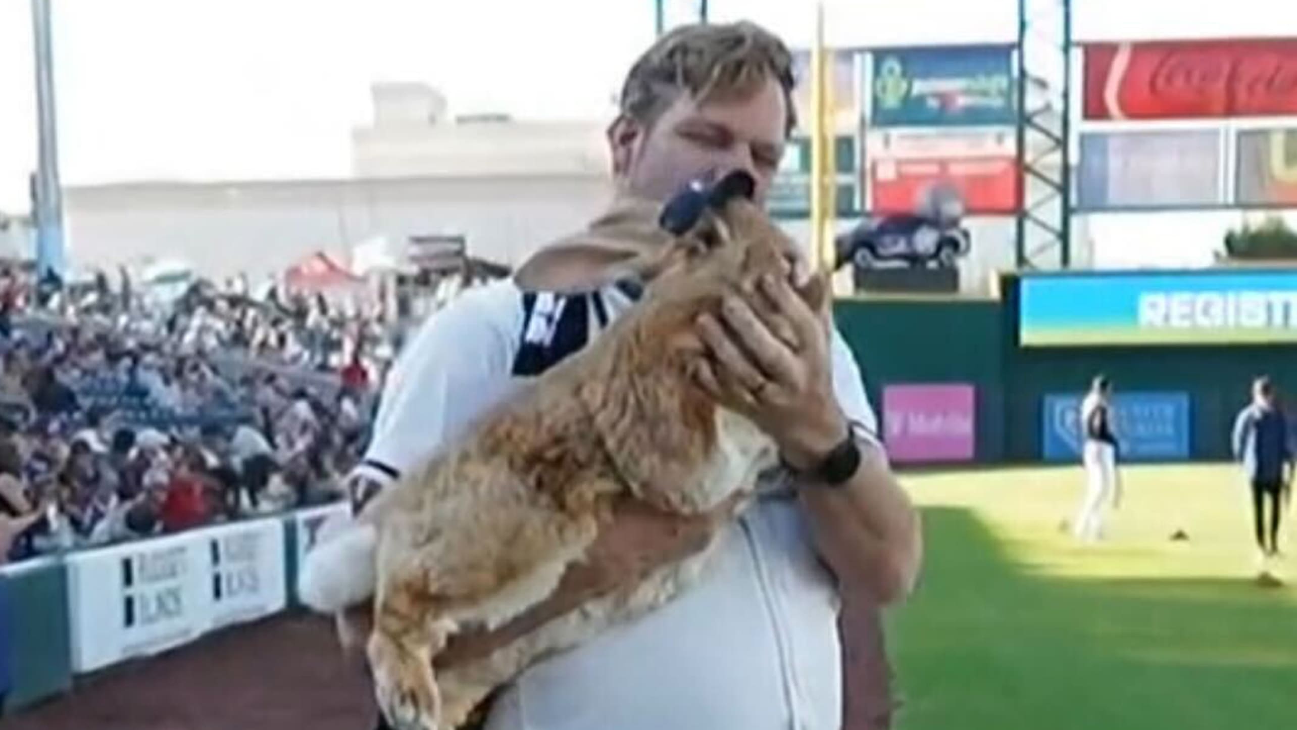 A man carries a large rabbit to the pitching mound