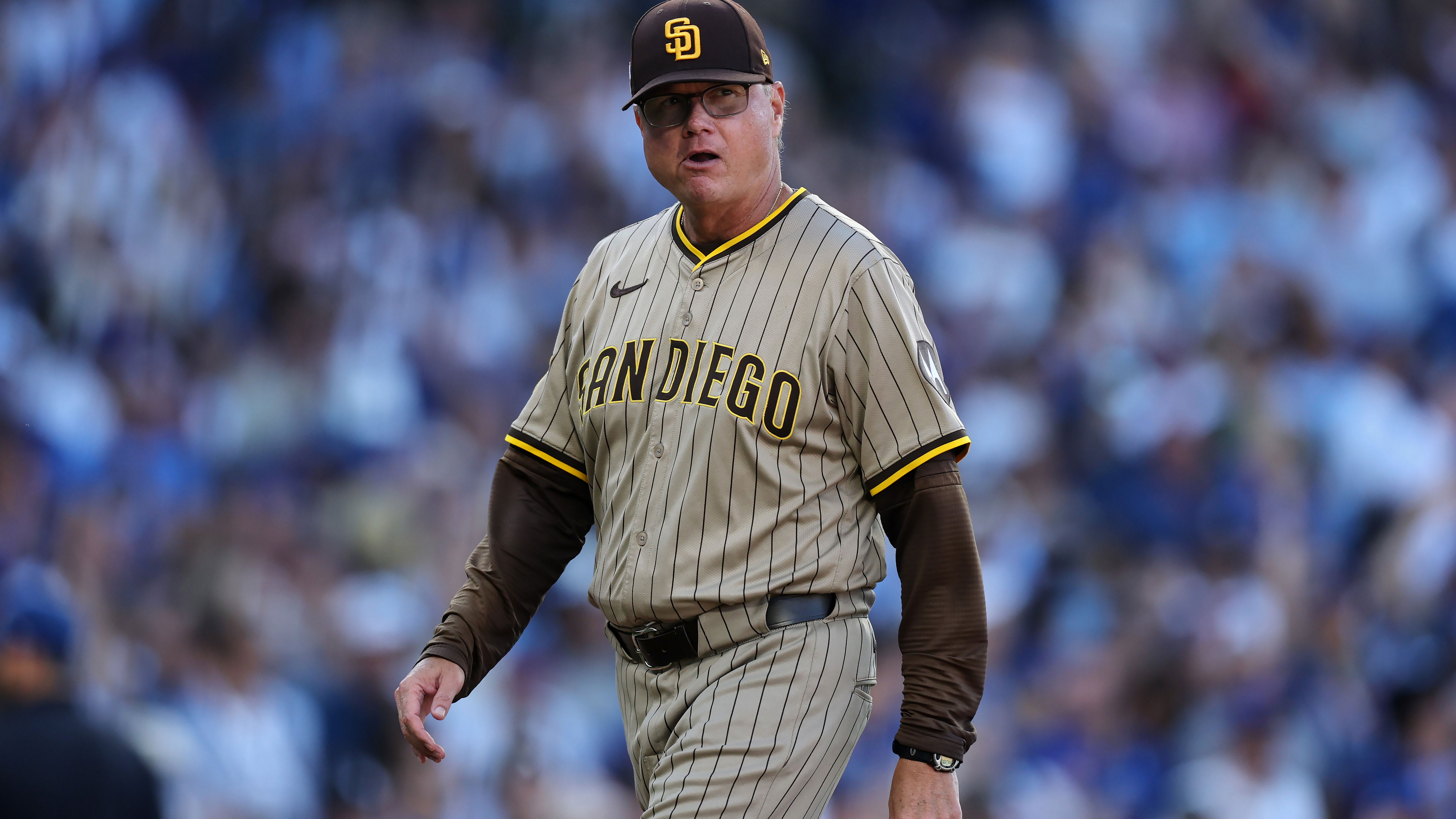 Mike Shildt