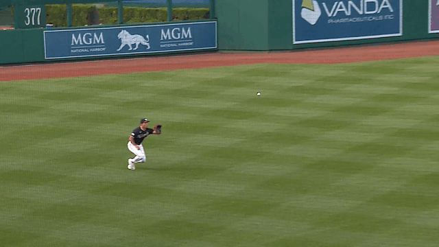 An animated gif of Daylen Lile making a sliding catch on a line drive