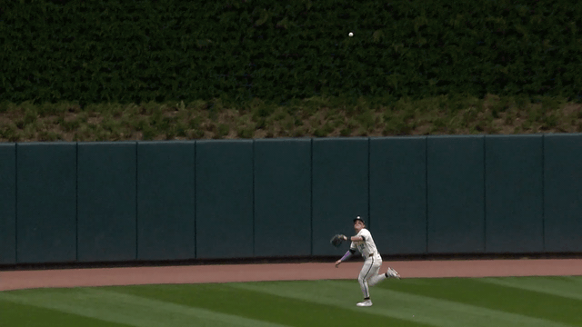 An animated gif of Harrison Bader making a diving catch