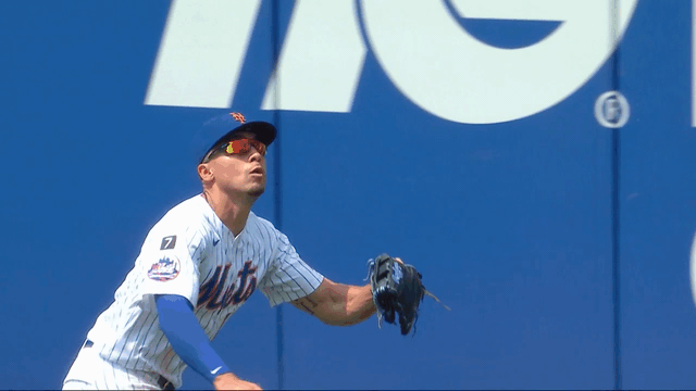 An animated gif of Tyrone Taylor making a diving catch