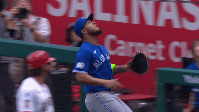 An animated gif of Lenyn Sosa reaching over the dugout railing and between two Blue Jays teammates to make a catch