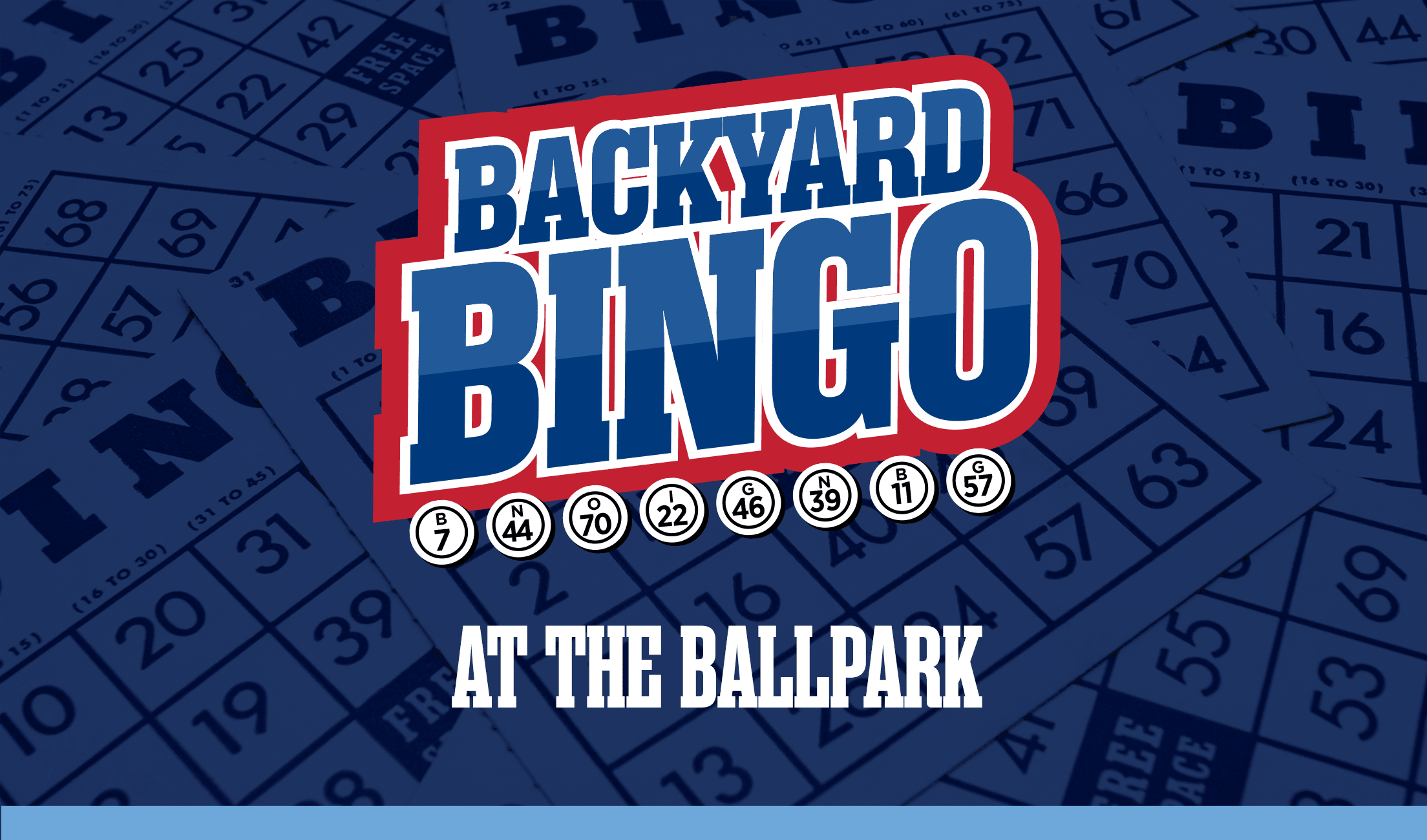 Bingo Night
