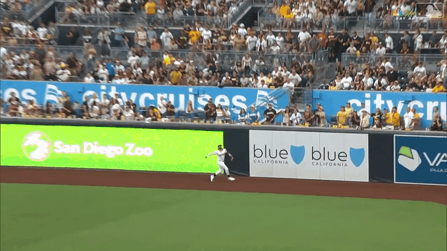 An animated gif of Fernando Tatis Jr. leaping to rob a home run, then sitting down on the warning track with his back against the wall
