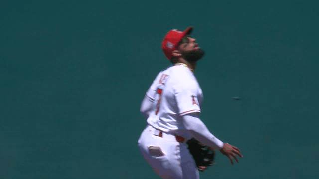 An animated gif of Jo Adell making a leaping catch at the wall