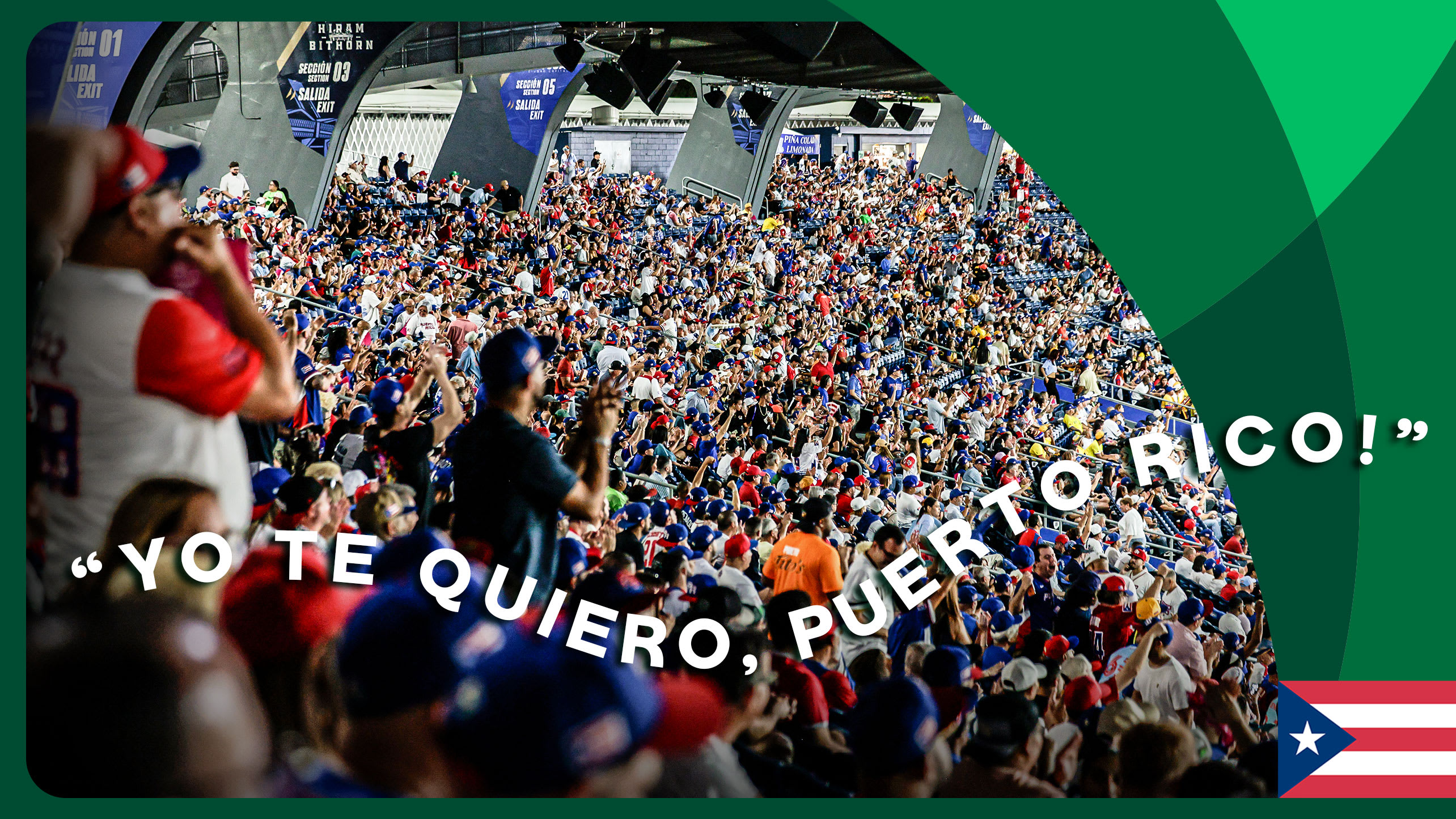 A full house at the ballgame in Puerto Rico
