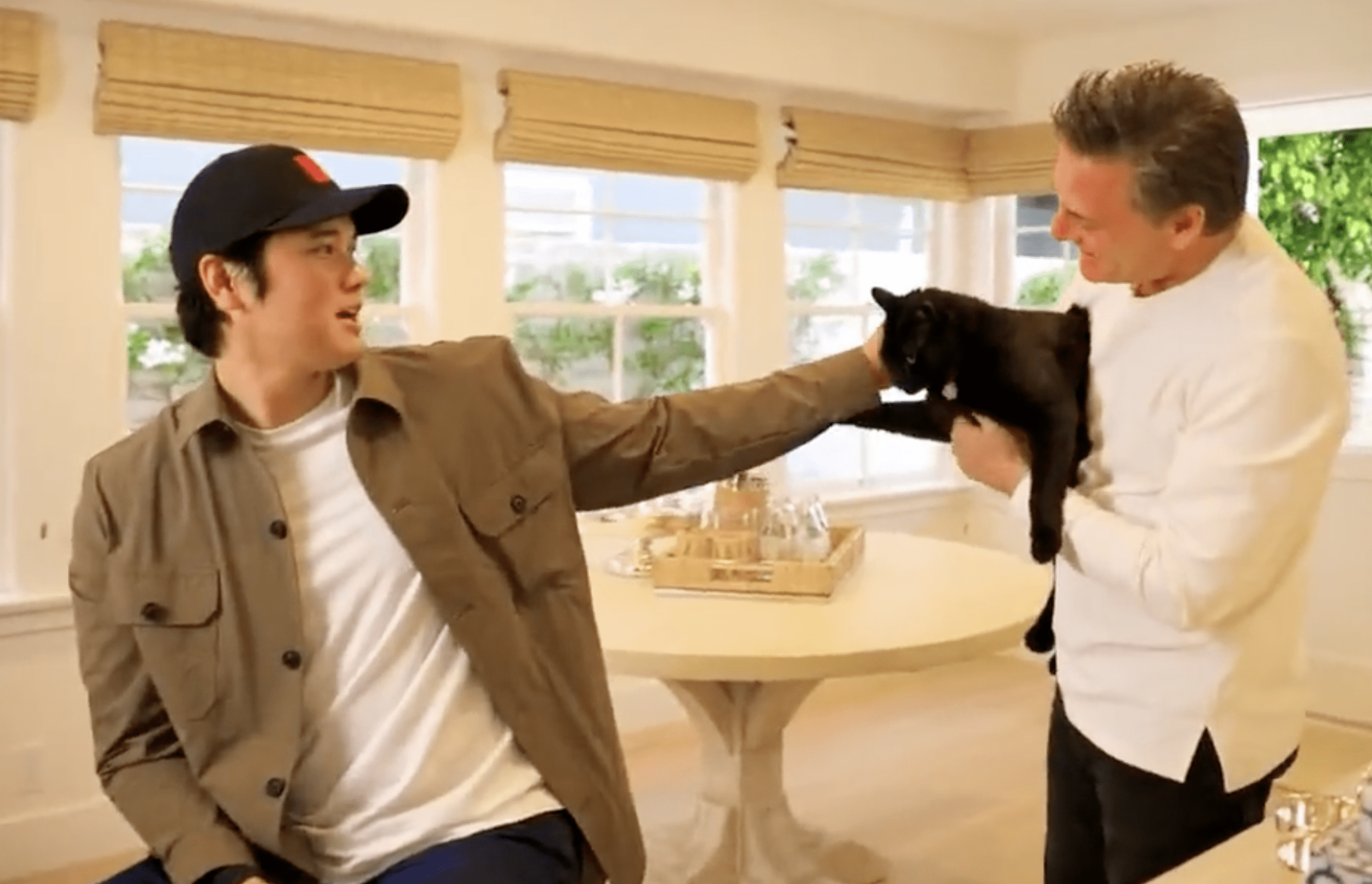 Shohei Ohtani pets a cat