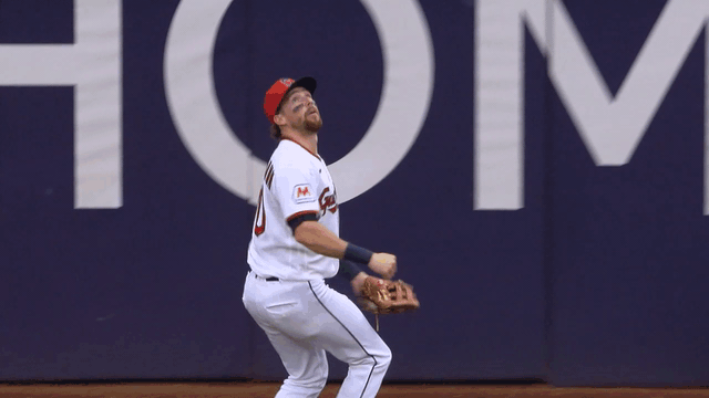 An animated gif of Daniel Schneemann robbing a home run