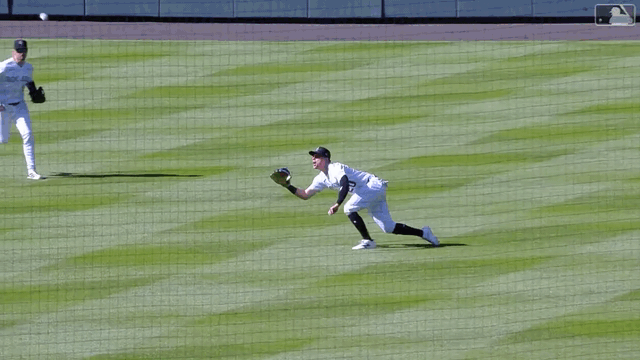 An animated gif of Troy Johnston making a diving catch