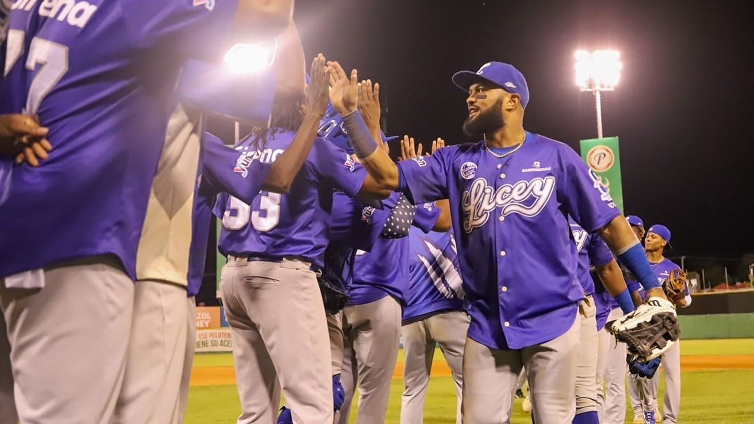 Players on Tigres del Licey high-five after a victory