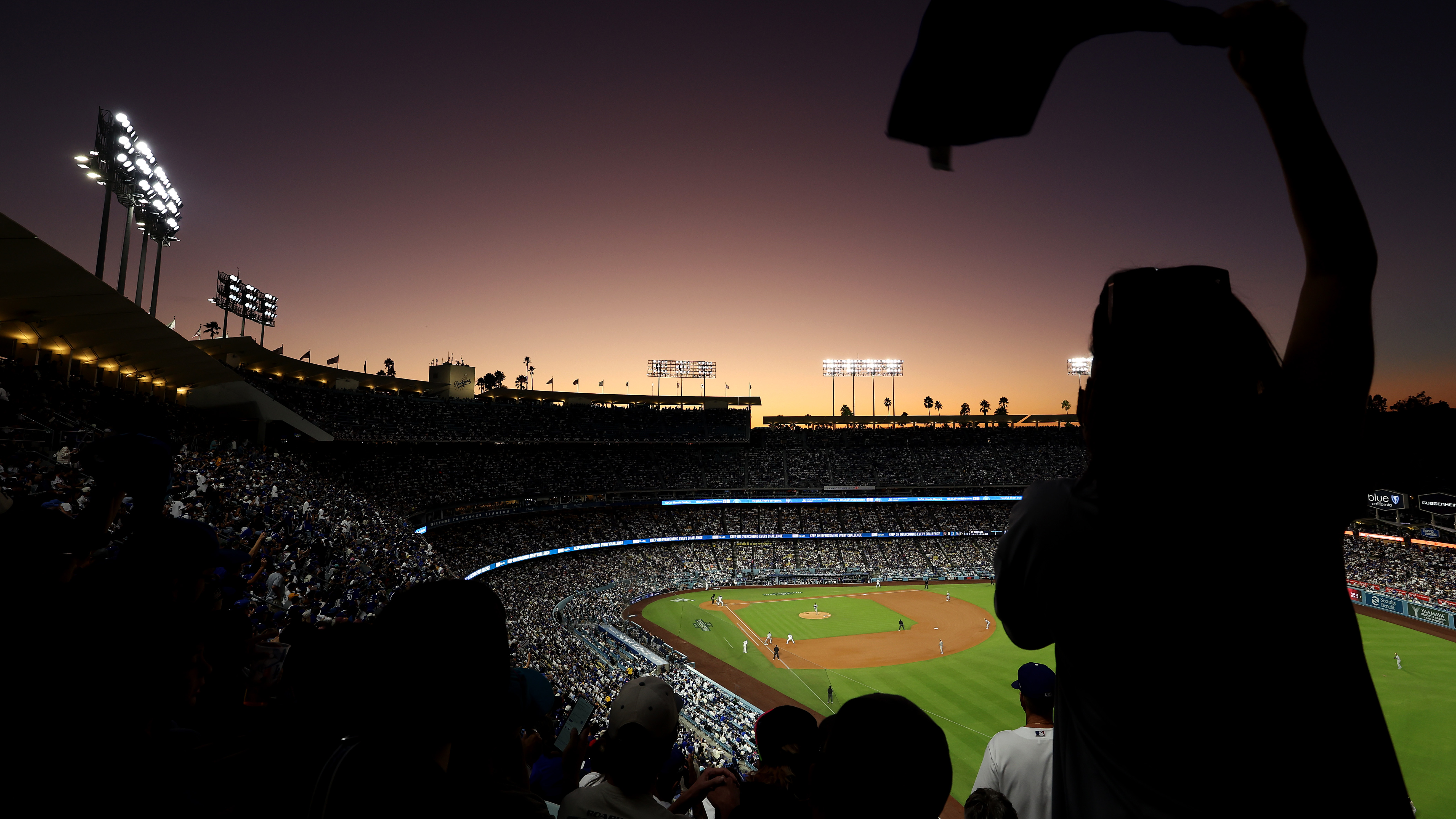 Fans cheering at a baseball game
