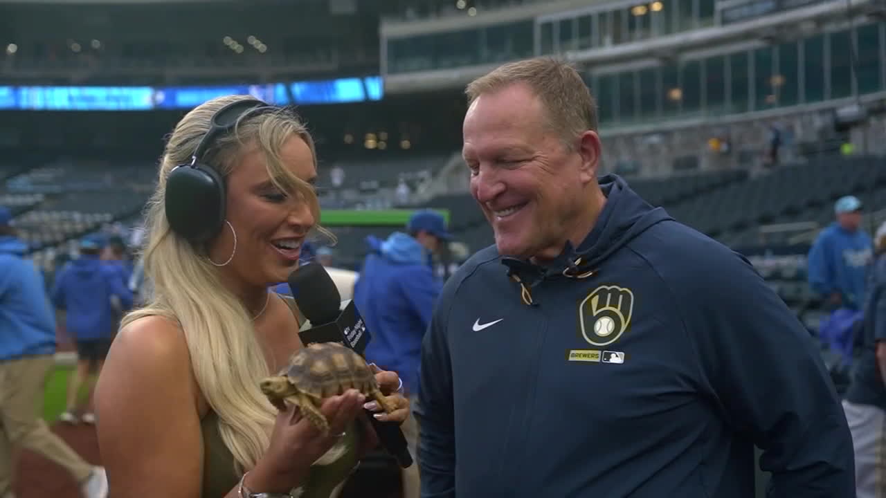 Reporter Tricia Whitaker holds a tortoise during an interview with Brewers manager Pat Murphy